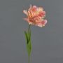Fiore decorativo tulipano pappagallo ALISCHA, rosa-giallo, 70 cm, Ø 19 cm