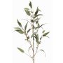 Ramo decorativo di eucalipto JURKA con frutti, verde-grigio, 115 cm