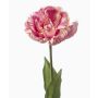 Fiore di pappagallo artificiale LIOMARA, lilla chiaro, 65 cm, Ø 9 cm