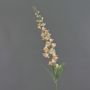 Fiore artificiale campanula NEVLAR, rosa pesca, 95 cm, Ø 10 cm