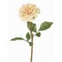 Fiore artificiale di dalia BREDANA, beige, 60cm, Ø11cm