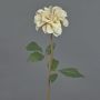 Fiore artificiale di dalia BREDANA, beige, 60 cm, Ø 11 cm