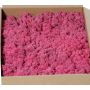 Muschio naturale islandese SVEINBJÖRN, rosa acceso, 2,7 kg