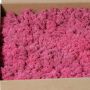 Muschio naturale islandese SVEINBJÖRN, fucsia, 2,7kg