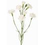 Ramo decorativo di garofano PIARA, bianco, 60 cm, Ø 3-5 cm