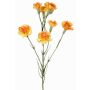 Ramoscello decorativo di garofano PIARA, giallo-arancio, 60 cm, Ø 3-5 cm