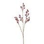Ramo artificiale di rosa selvatica FRIMTE con cinorrodi, rosso bordeaux, 55 cm