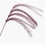 Ramo decorativo di erba piumata con pannocchie LUMINIA, rosso bordeaux, 135 cm