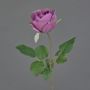 Fiore artificiale decorativo rosa POPI, viola-verde, 55 cm, Ø 7 cm