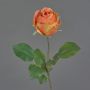 Fiore artificiale decorativo POPI, arancione-rosa, 55 cm, Ø 7 cm