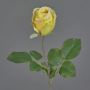 Fiore artificiale decorativo POPI, giallo-verde-rosa, 55 cm, Ø 7 cm