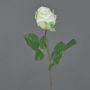 Fiore artificiale decorativo POPI, bianco-verde, 55 cm, Ø 7 cm
