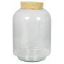 Terrario in vetro KONDO con coperchio in sughero, trasparente, 25 cm, Ø17 cm