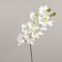 Ramo artificiale di orchidea Cymbidium LANAKILA, bianco, 70 cm, Ø 9 cm