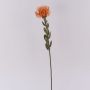 Fiore decorativo cuscino porta spilli Protea URMINE, effetto secco, arancione, 60 cm, Ø 9 cm