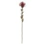 Fiore decorativo a forma di puntaspilli Protea URMINE, effetto secco, rosso bordeaux, 60 cm, Ø 9 cm