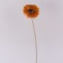 Fiore decorativo Gerbera TUNGUSKA, effetto secco, arancione, 55 cm, Ø 11 cm