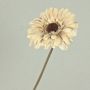 Fiore decorativo Gerbera TUNGUSKA, effetto secco, crema-beige, 55 cm, Ø 11 cm