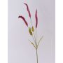 Ramo di Liriope artificiale JELIKANTA con pannocchie, rosso bordeaux, 60 cm