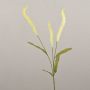 Ramo di liriope artificiale JELIKANTA con pannocchie, verde crema, 60 cm