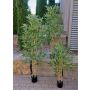 Albero artificiale di bambù SEUMAS, tronchi naturali, 150 cm