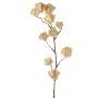 Ramo di physalis artificiale AINOS, frutti, glitter, color crema, 80 cm