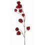 Ramo di physalis artificiale AINOS, frutti, glitter, rosso bordeaux, 80cm