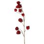 Ramo di physalis artificiale AINOS, frutti, glitter, rosso bordeaux, 80 cm