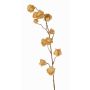 Ramo di physalis artificiale AINOS, frutti, glitter, beige, 80cm