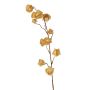 Ramo di physalis artificiale AINOS, frutti, glitter, beige, 80 cm