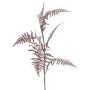 Ramo artificiale di Asparagus plumosus GIONA, rosso scuro, 85 cm