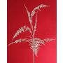 Ramo artificiale di Asparagus plumosus GIONA, argento, 85 cm