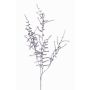 Ramo artificiale di Asparagus acutifolius PARNASO, argento, 100cm
