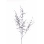 Ramo artificiale di Asparagus acutifolius PARNASO, argento, 100 cm