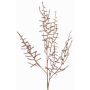 Ramo artificiale di Asparagus acutifolius PARNASO, rame, 100cm