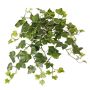 Edera artificiale da appendere ARJANA, asta, crossdoor, verde-bianco, 50cm