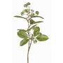 Ramo artificiale di corniolo PANGO con gemme, verde-bianco, 70cm, Ø7cm