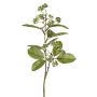 Ramo artificiale di corniolo PANGO con gemme, verde-bianco, 70 cm, Ø 7 cm