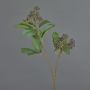 Ramo di corniolo artificiale PANGO con boccioli, viola scuro, 70 cm, Ø 7 cm