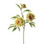 Ramo artificiale di peonia MANJA, verde-rosa, 70 cm, Ø 8-10 cm