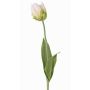 Fiore in tessuto tulipano pappagallo UAKARI, bianco-verde, 65cm, Ø6cm