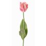 Fiore in tessuto tulipano pappagallo UAKARI, rosa-crema-verde, 65cm, Ø6cm