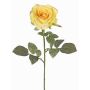 Rosa in velluto HUSA, giallo, 75 cm, Ø 10 cm