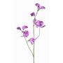 Fiore decorativo Lathyrus ASFALOTH, lilla, 65cm, Ø3-5cm