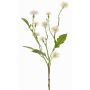 Fiore decorativo Centaurea HOLLA, bianco, 55cm, Ø3-4cm