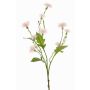 Fiore decorativo Centaurea HOLLA, rosa pallido, 55cm, Ø3-4cm