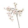 Ramo decorativo di fiori di melo SADAKA con fiori, rosa chiaro, 95 cm, Ø 1,5-4 cm