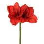 Amaryllis artificiale NARWELA, rosso, 70 cm, Ø 10-13 cm