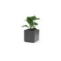 Vaso da fiori quadrato NASTASJA in plastica riciclata, con serbatoio d’acqua, rotelle, antracite, 39,5x39,5x38 cm, 35 L
