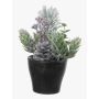 Composizione artificiale con abete, luppolo e bacche finte VIANNO, innevata, vaso decorativo, verde-bianco, 14cm, Ø11cm